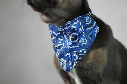 Halsband mit Halstuch für Hunde – verstellbar