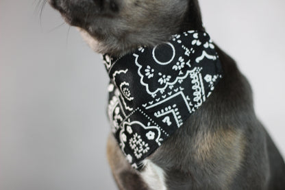 Halsband mit Halstuch für Hunde – verstellbar