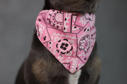 Halsband mit Halstuch für Hunde – verstellbar