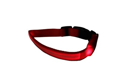 LED-Halsbänder mit USB-Kabel