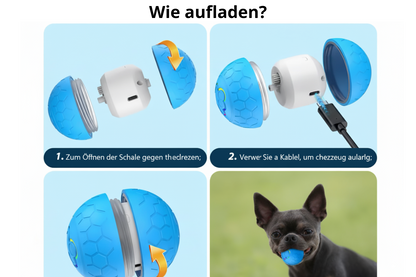 Elektrischer Hundeball – Spielspaß für lange Zeit