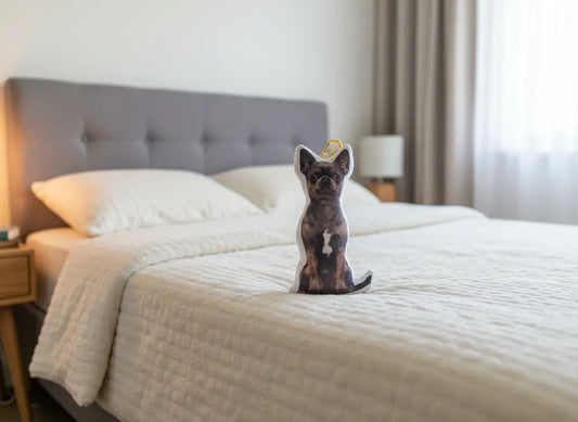 Hündli Mini-Fotokissen mit Karabiner 20cm