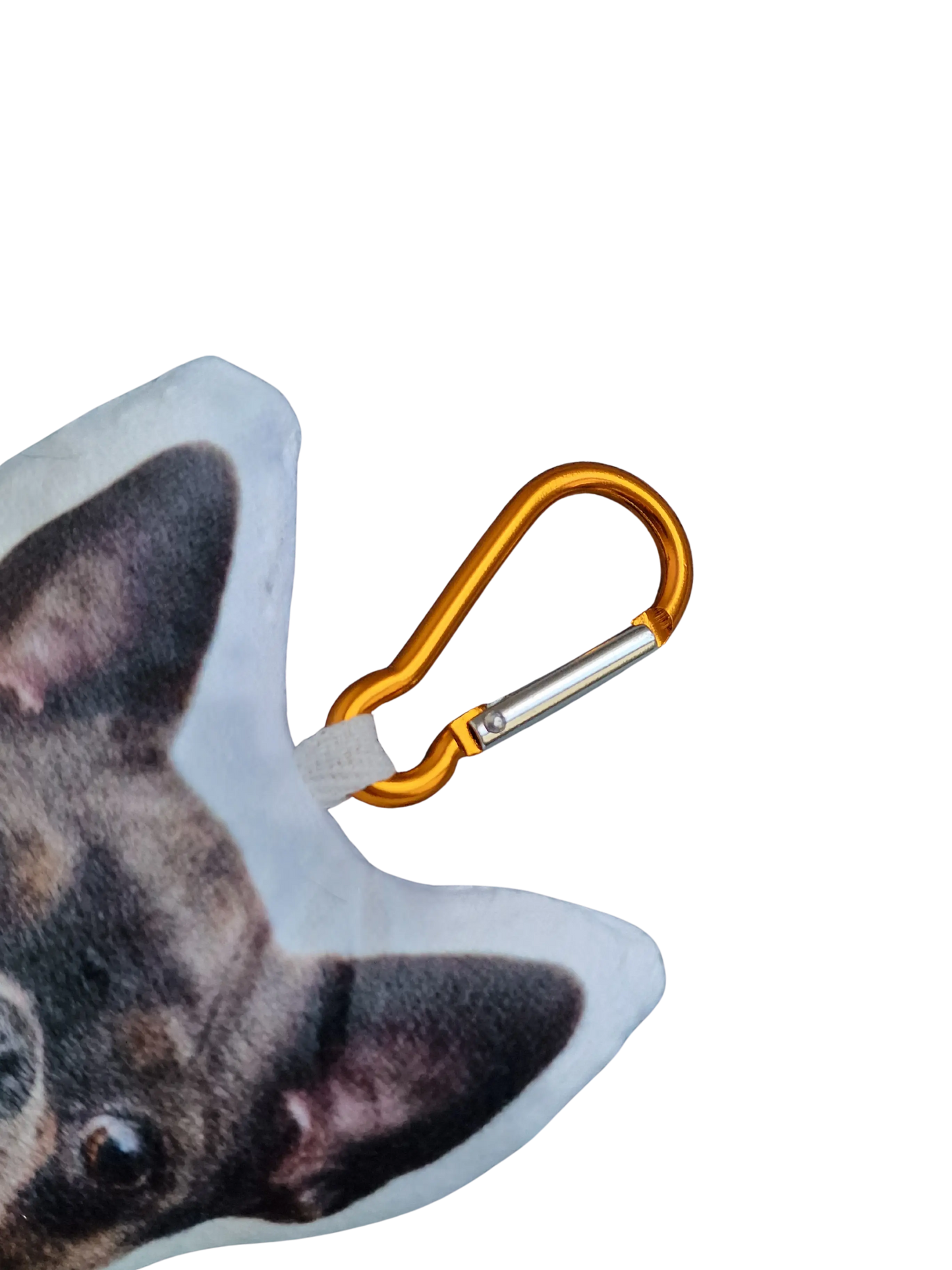 Hündli Mini-Fotokissen mit Karabiner 20cm