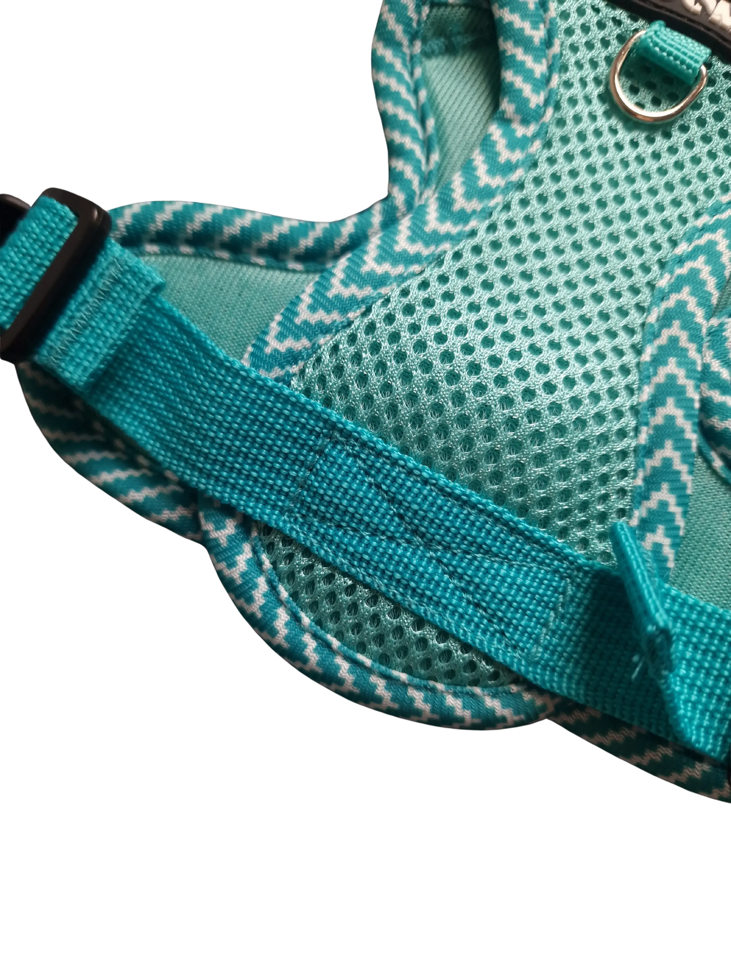 Hundegeschirr mit passender Leine – verstellbar & bequem