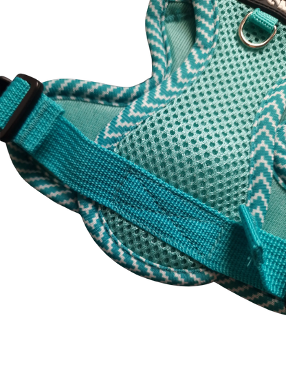 Hundegeschirr mit passender Leine – verstellbar & bequem