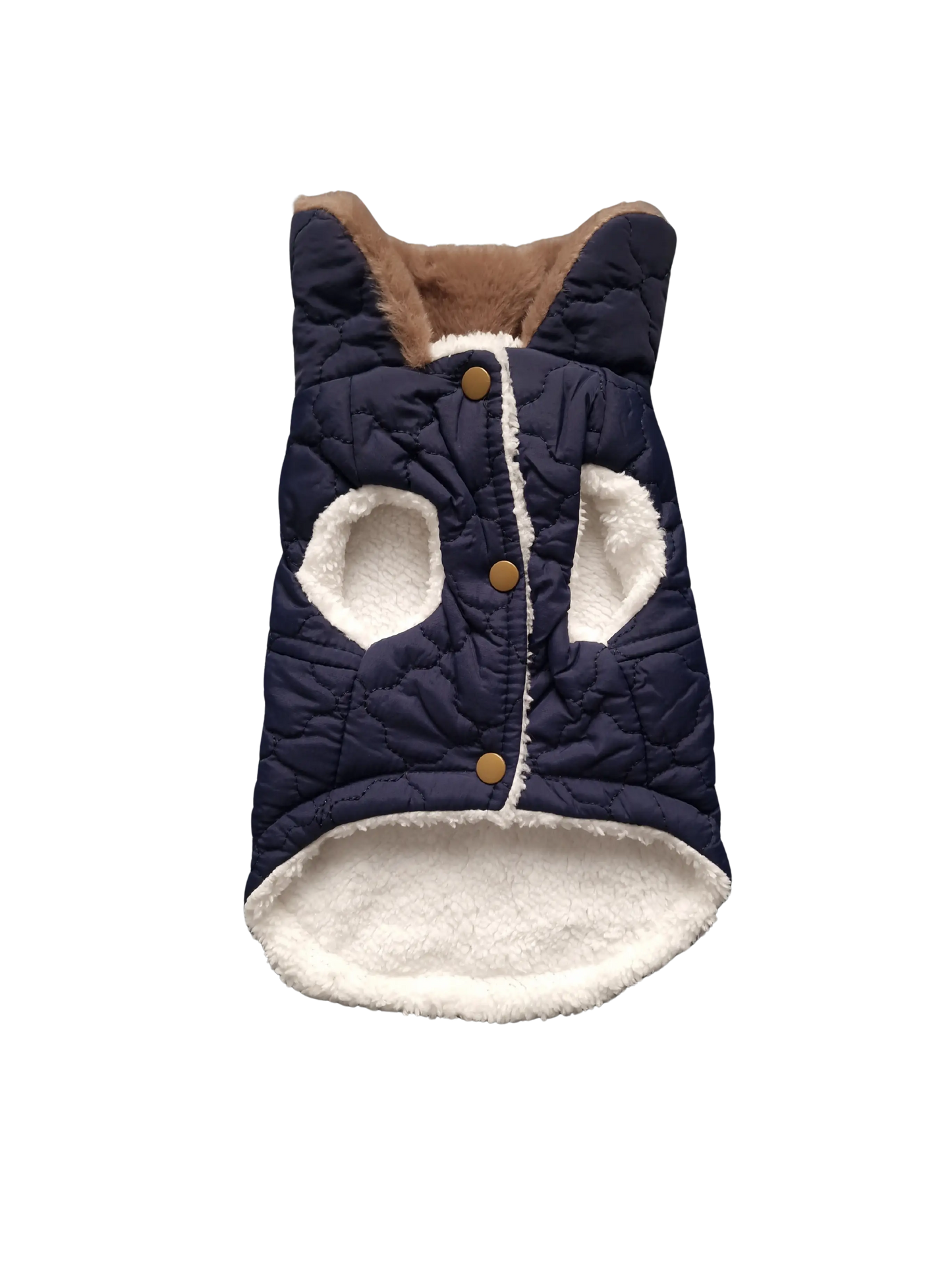 Hundejacken – Schutz und Komfort an kalten Herbsttagen