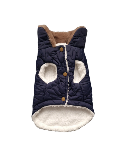 Hundejacken – Schutz und Komfort an kalten Herbsttagen