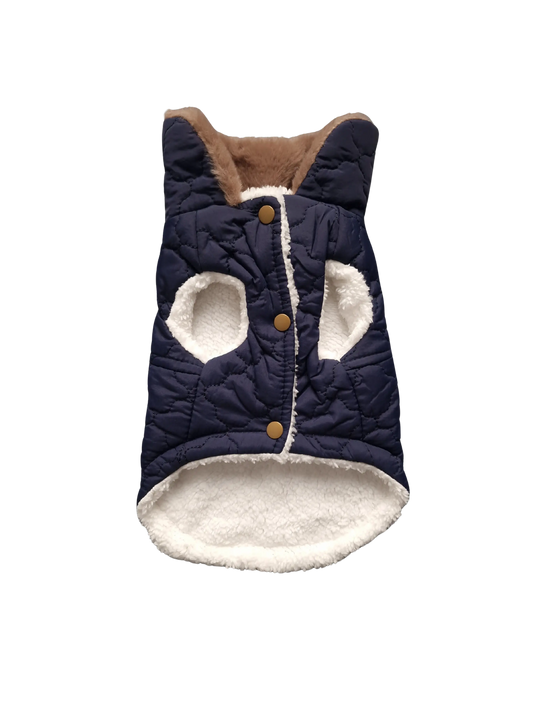 Hundejacken – Schutz und Komfort an kalten Herbsttagen