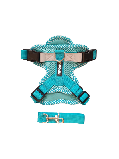 Hundegeschirr mit passender Leine – verstellbar & bequem