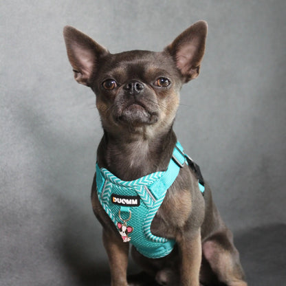 Hundegeschirr mit passender Leine – verstellbar & bequem