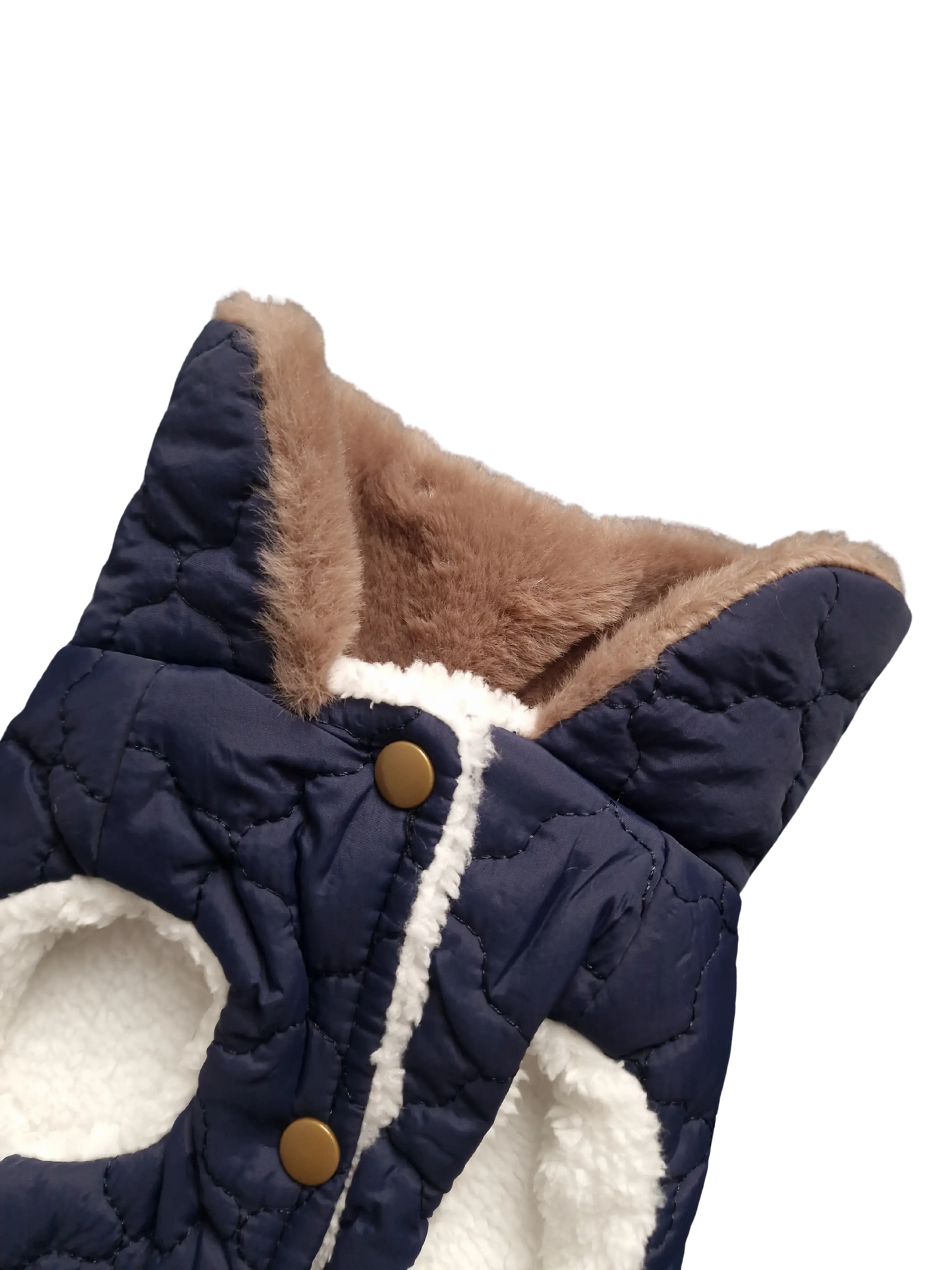 Hundejacken – Schutz und Komfort an kalten Herbsttagen