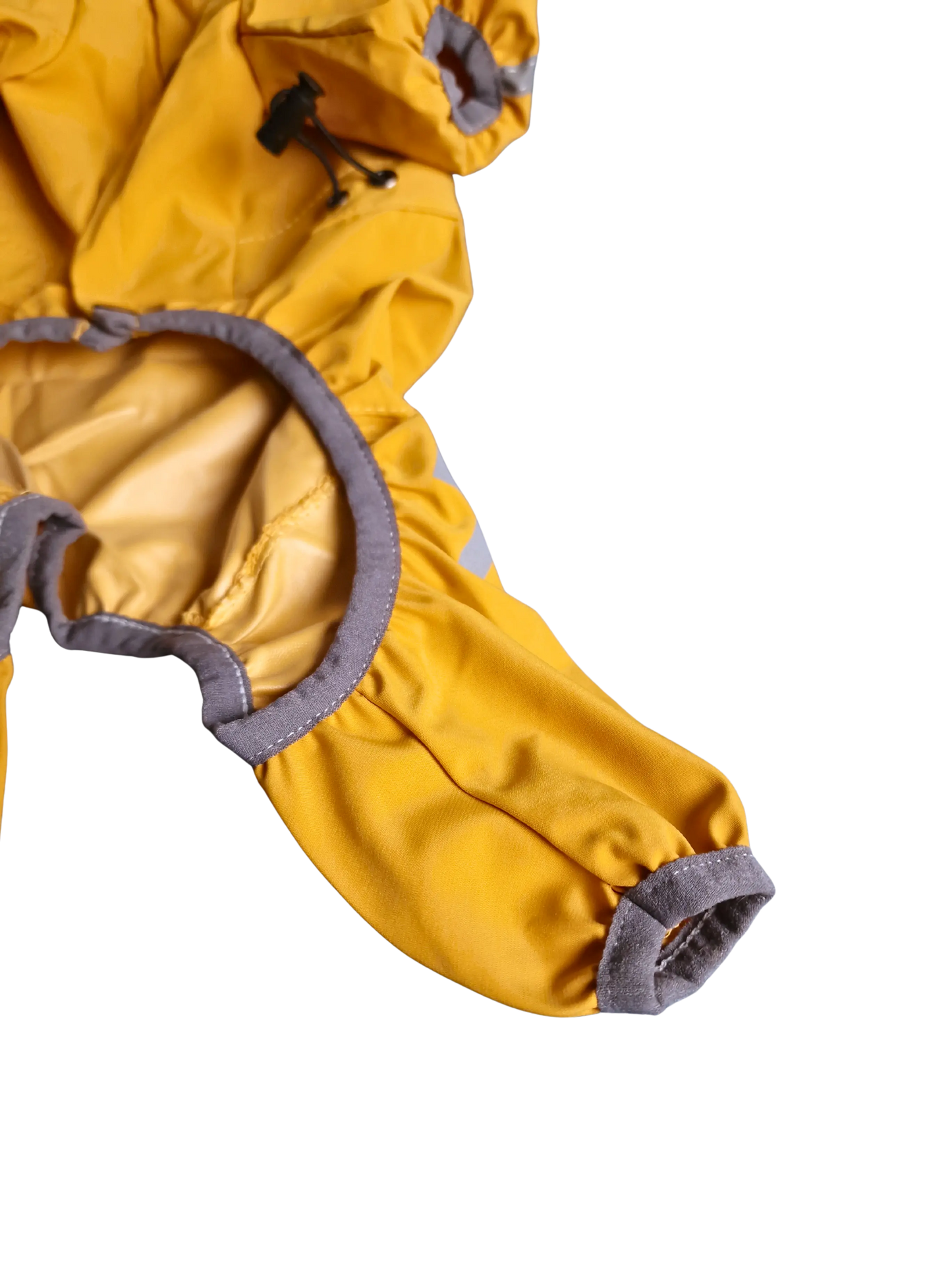 Regenjacken für Hunde – Trocken und geschützt bei jedem Spaziergang