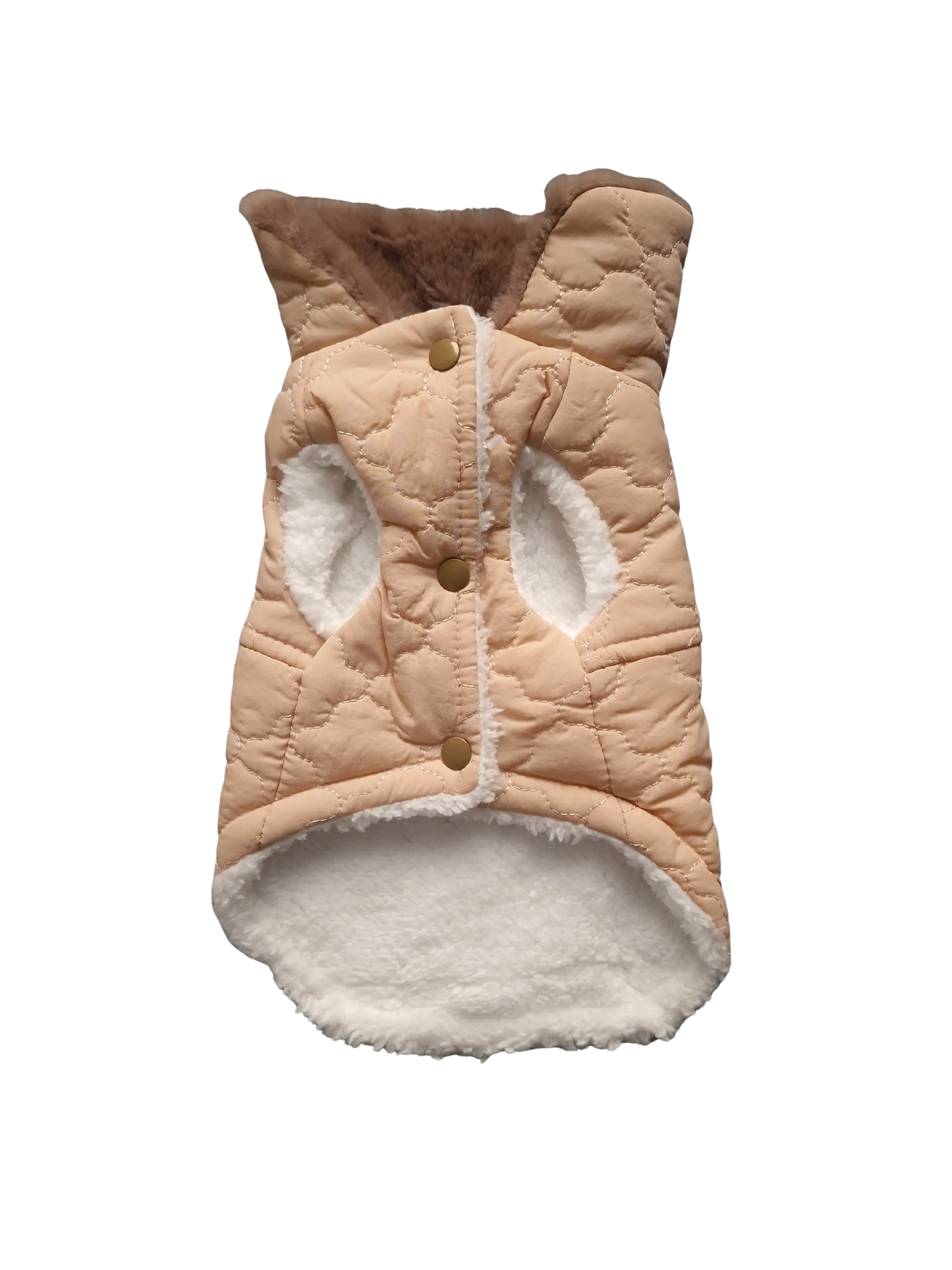 Hundejacken – Schutz und Komfort an kalten Herbsttagen