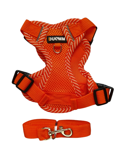 Hundegeschirr mit passender Leine – verstellbar & bequem