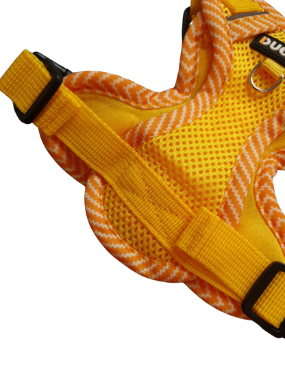 Hundegeschirr mit passender Leine – verstellbar & bequem