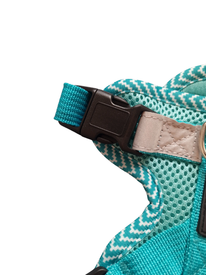 Hundegeschirr mit passender Leine – verstellbar & bequem