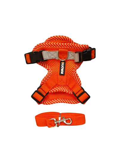 Hundegeschirr mit passender Leine – verstellbar & bequem