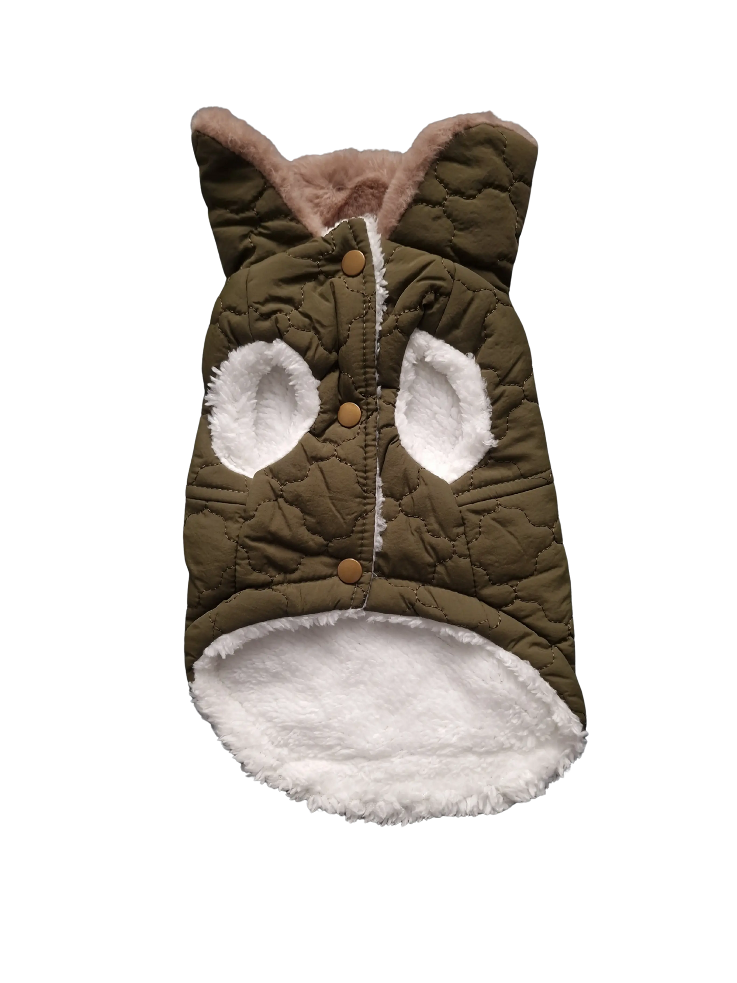 Hundejacken – Schutz und Komfort an kalten Herbsttagen