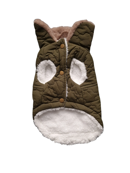 Hundejacken – Schutz und Komfort an kalten Herbsttagen