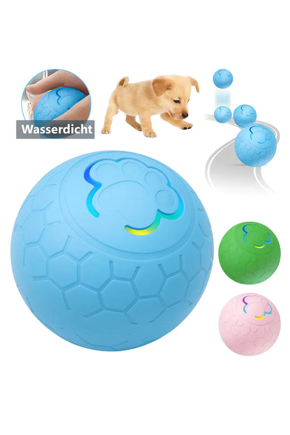 Elektrischer Hundeball – Spielspaß für lange Zeit