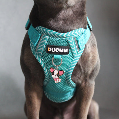 Hundegeschirr mit passender Leine – verstellbar & bequem